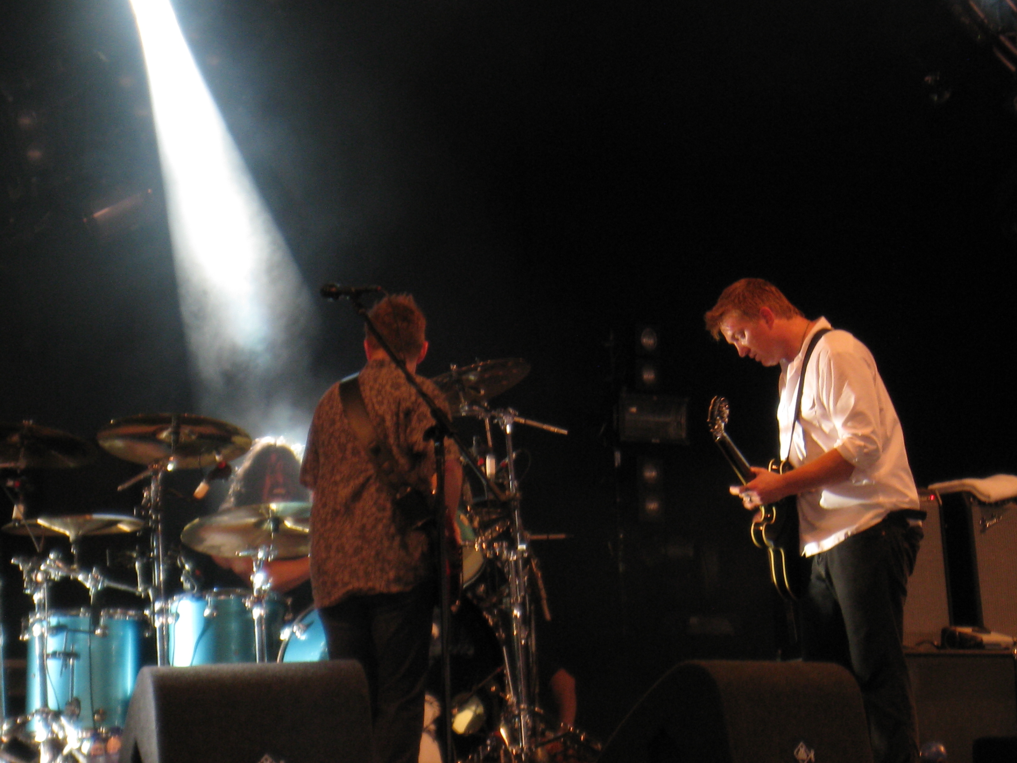 Foto: Them Crooked Vultures