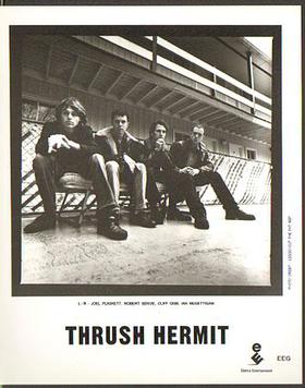Foto: Thrush Hermit