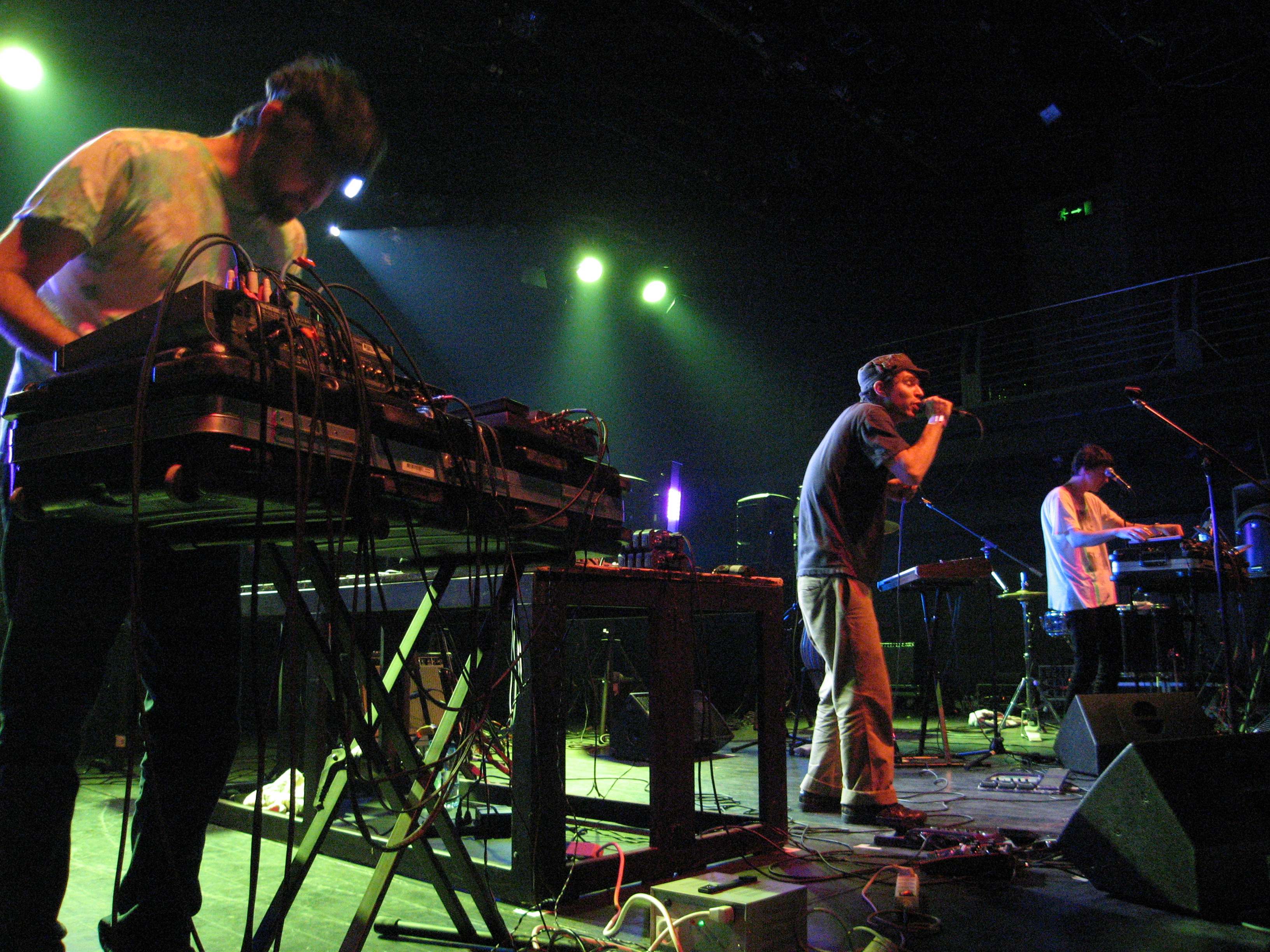 Foto: Animal Collective