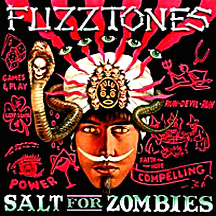 Cover: Salt For Zombies