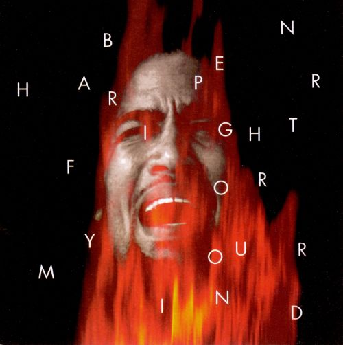 Cover: Fight For Your Mind