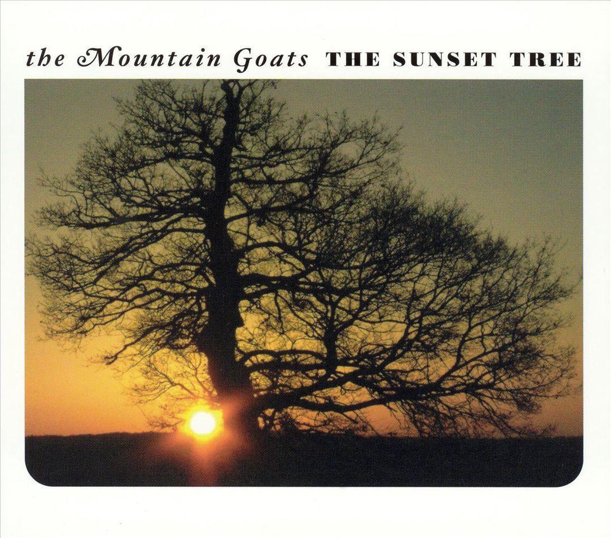 Cover: The Sunset Tree