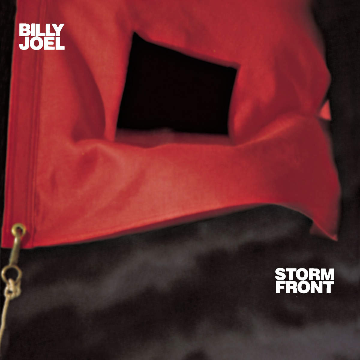 Cover: Storm Front
