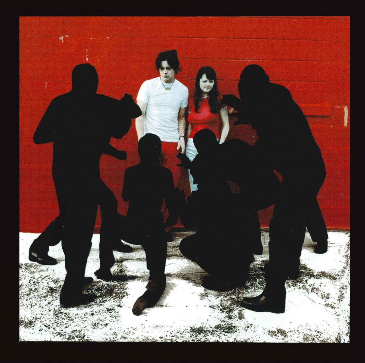Cover: White Blood Cells