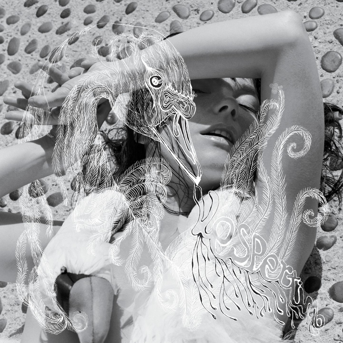 Cover: Vespertine
