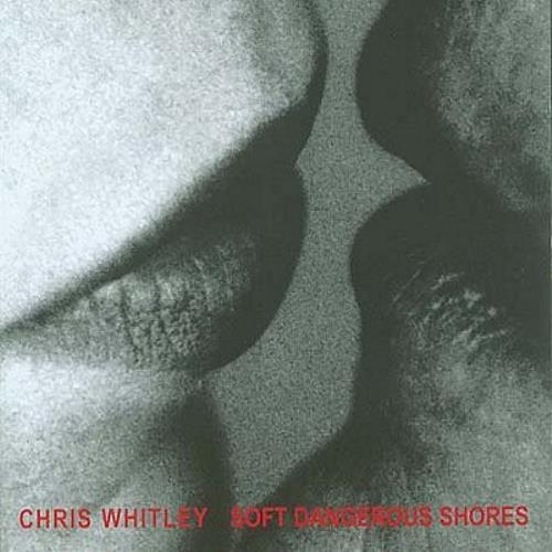 Cover: Soft Dangerous Shores