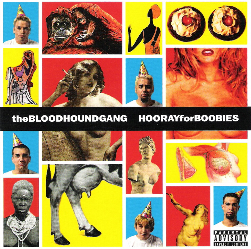 Cover: Hooray For Boobies