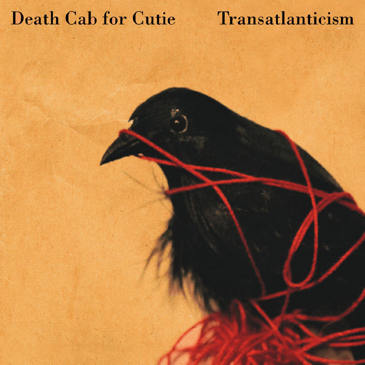 Cover: Transatlanticism