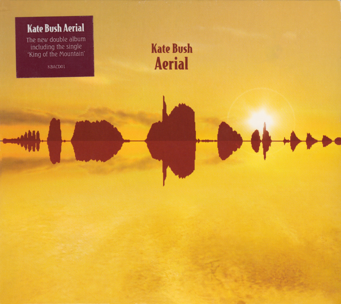 Cover: Aerial