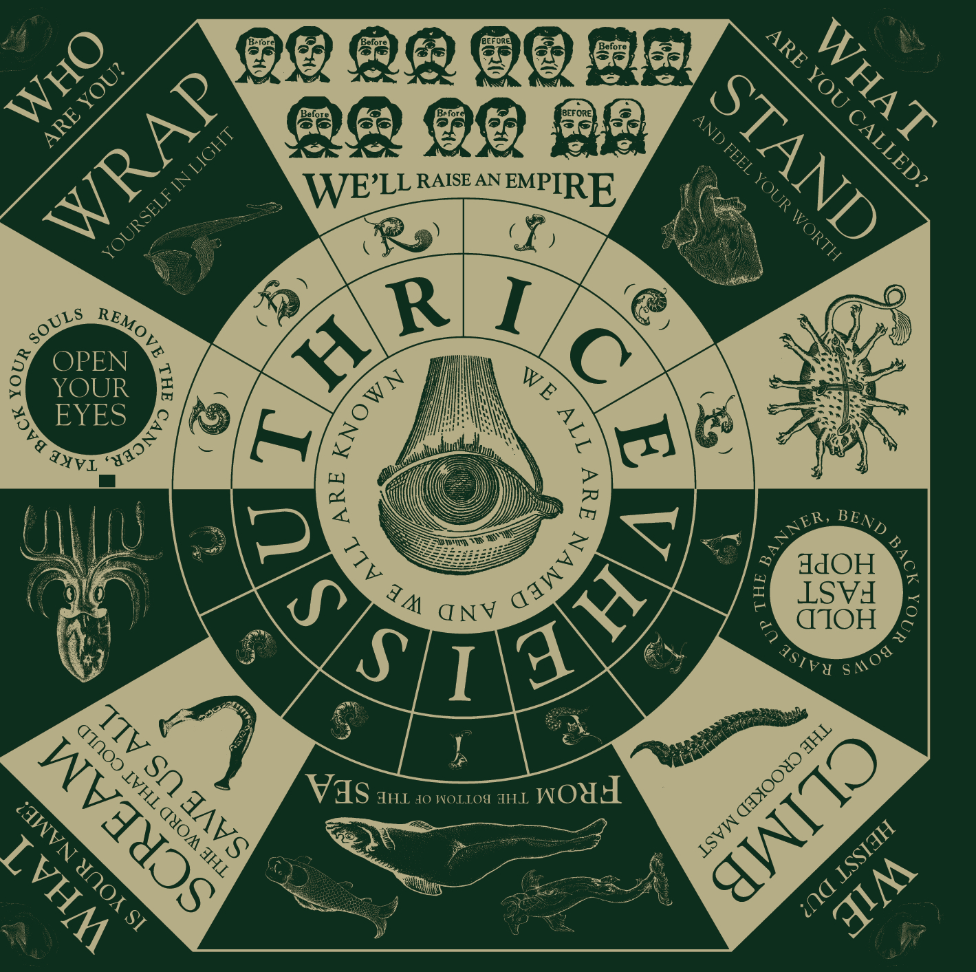 Cover: Vheissu