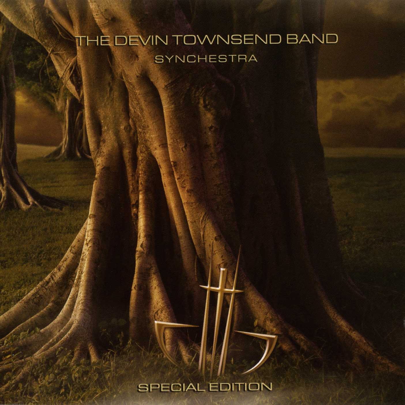 Cover: Synchestra