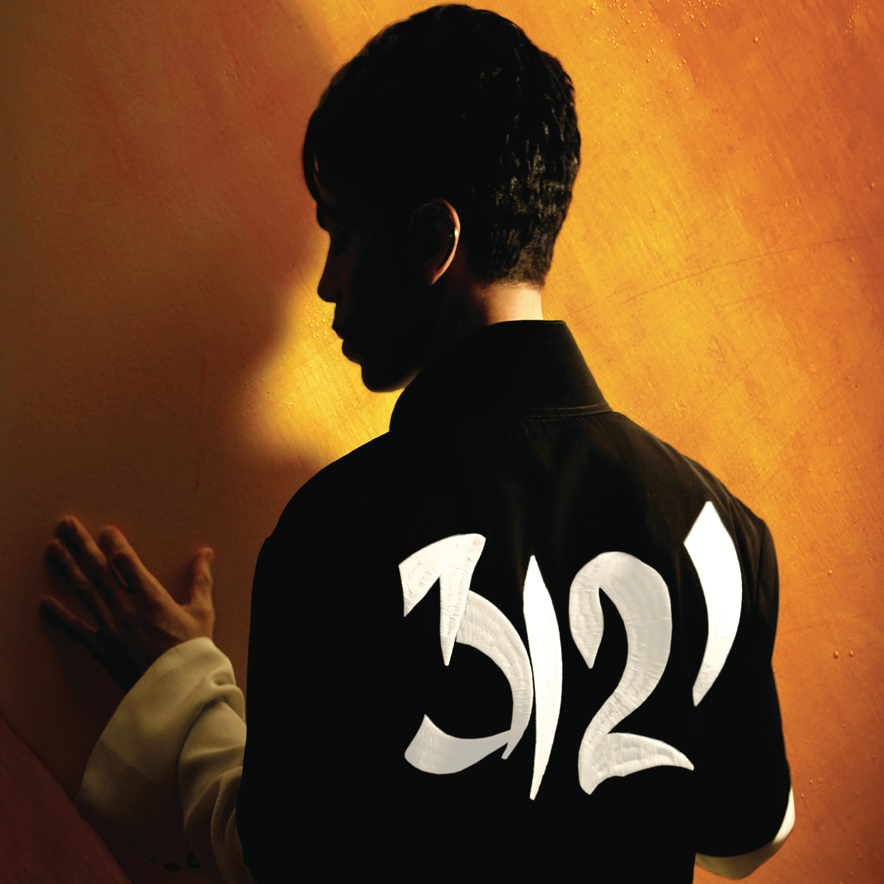 Cover: 3121