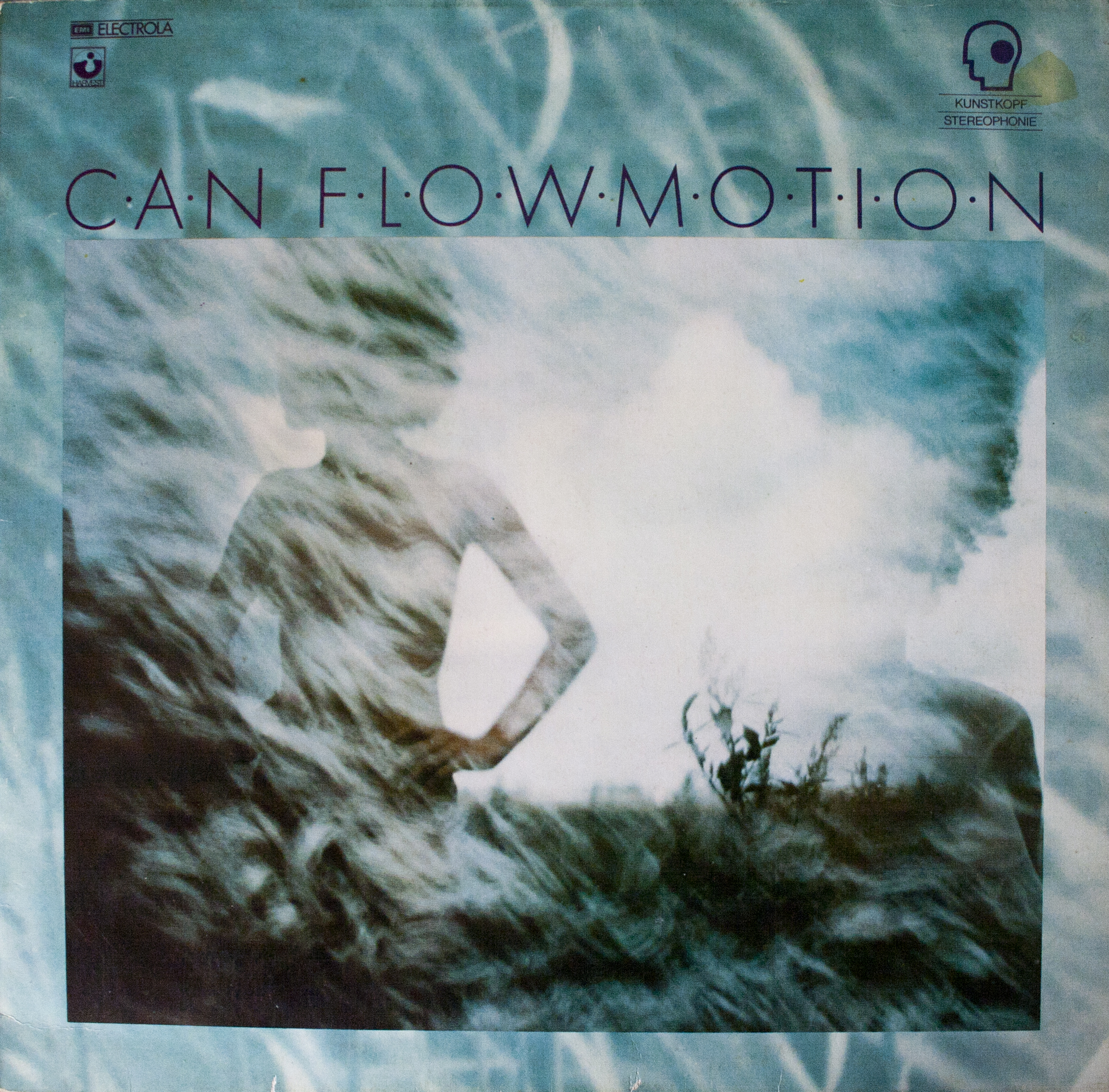 Cover: Flow Motion
