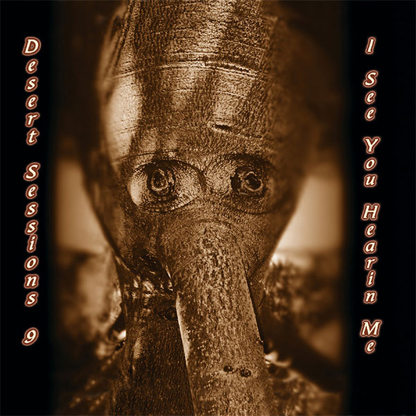 Cover: Dessert Sessions, Volume 9 & 10