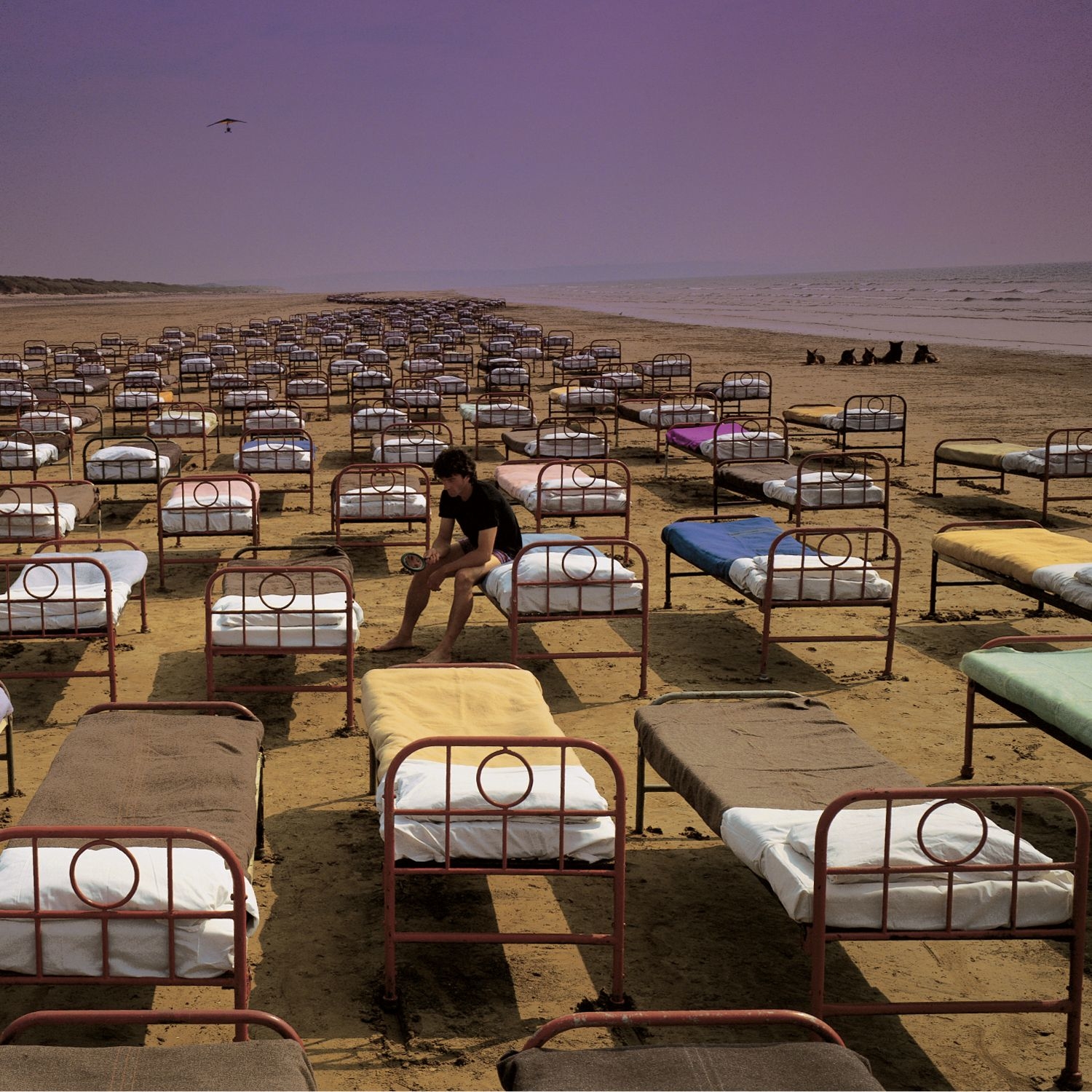 Cover: A Momentary Lapse Of Reason