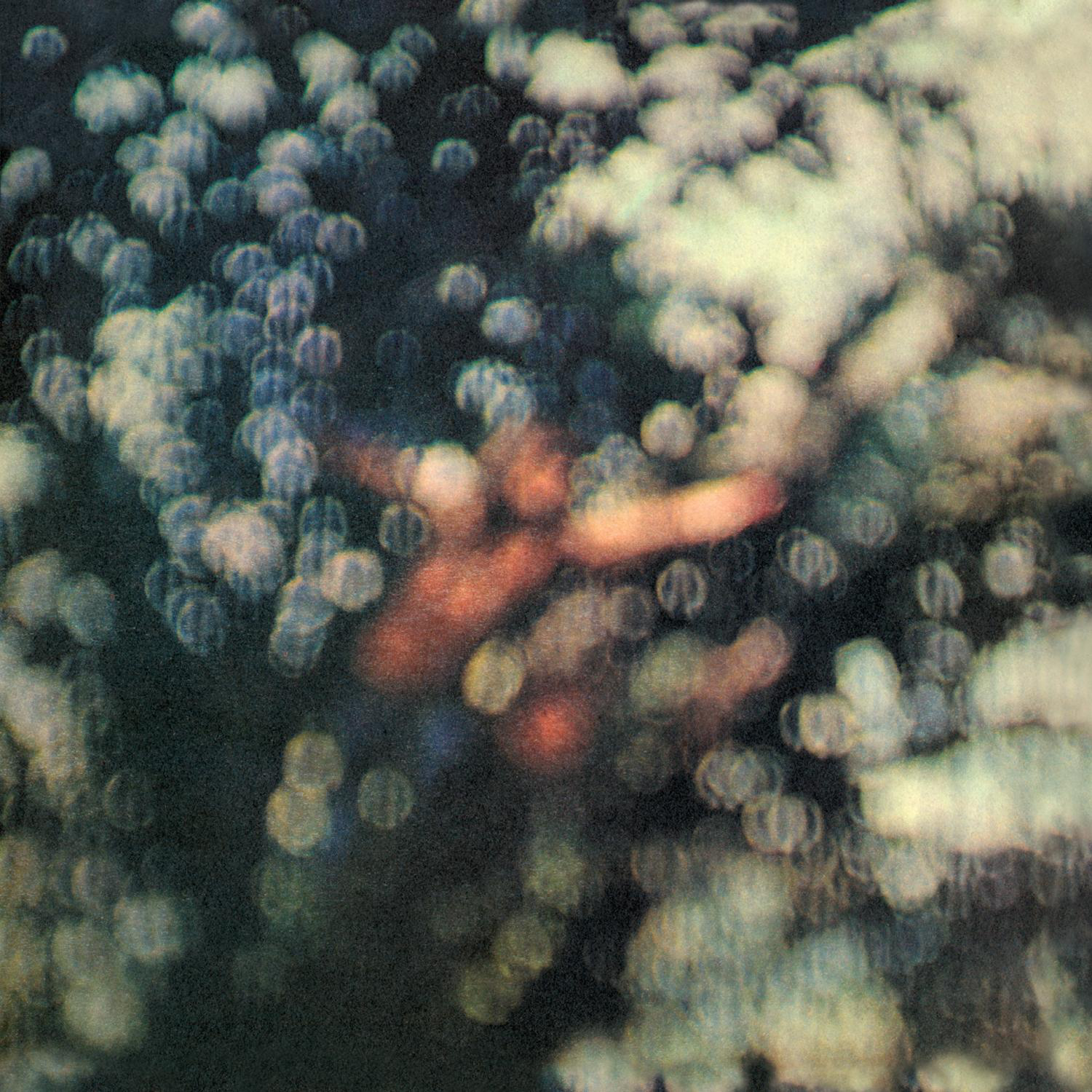Cover: Obscured By Clouds