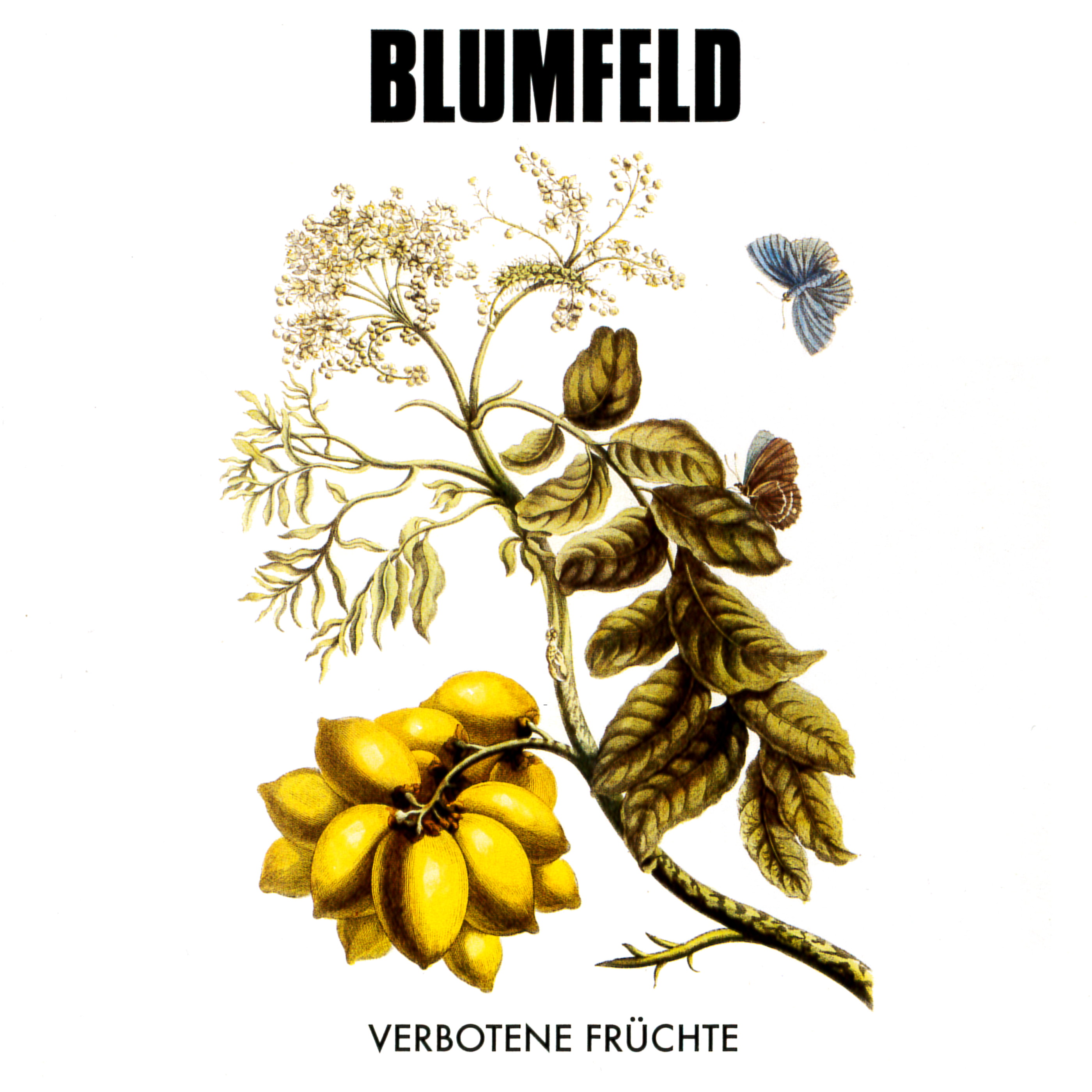 Cover: Verbotene Früchte