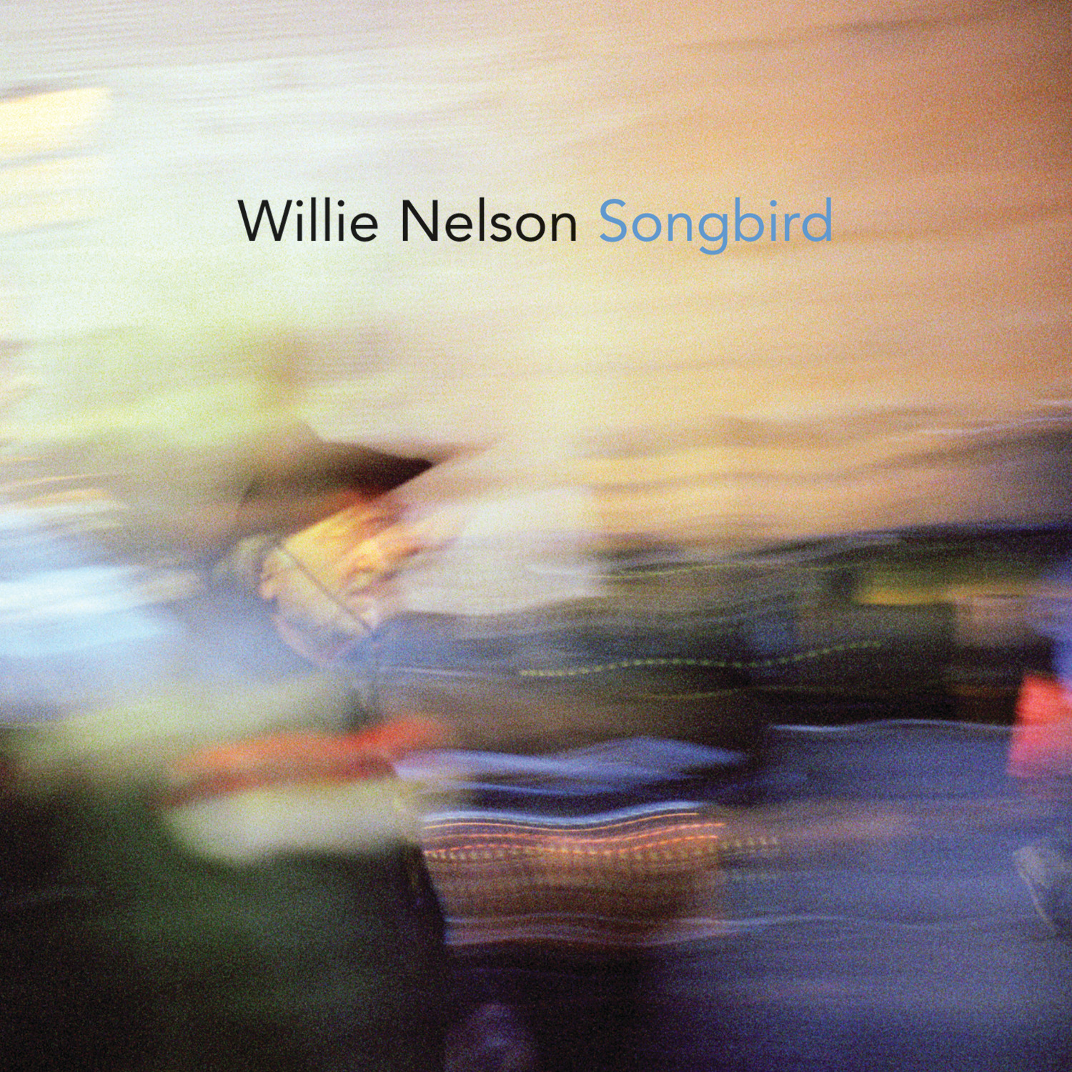 Cover: Songbird