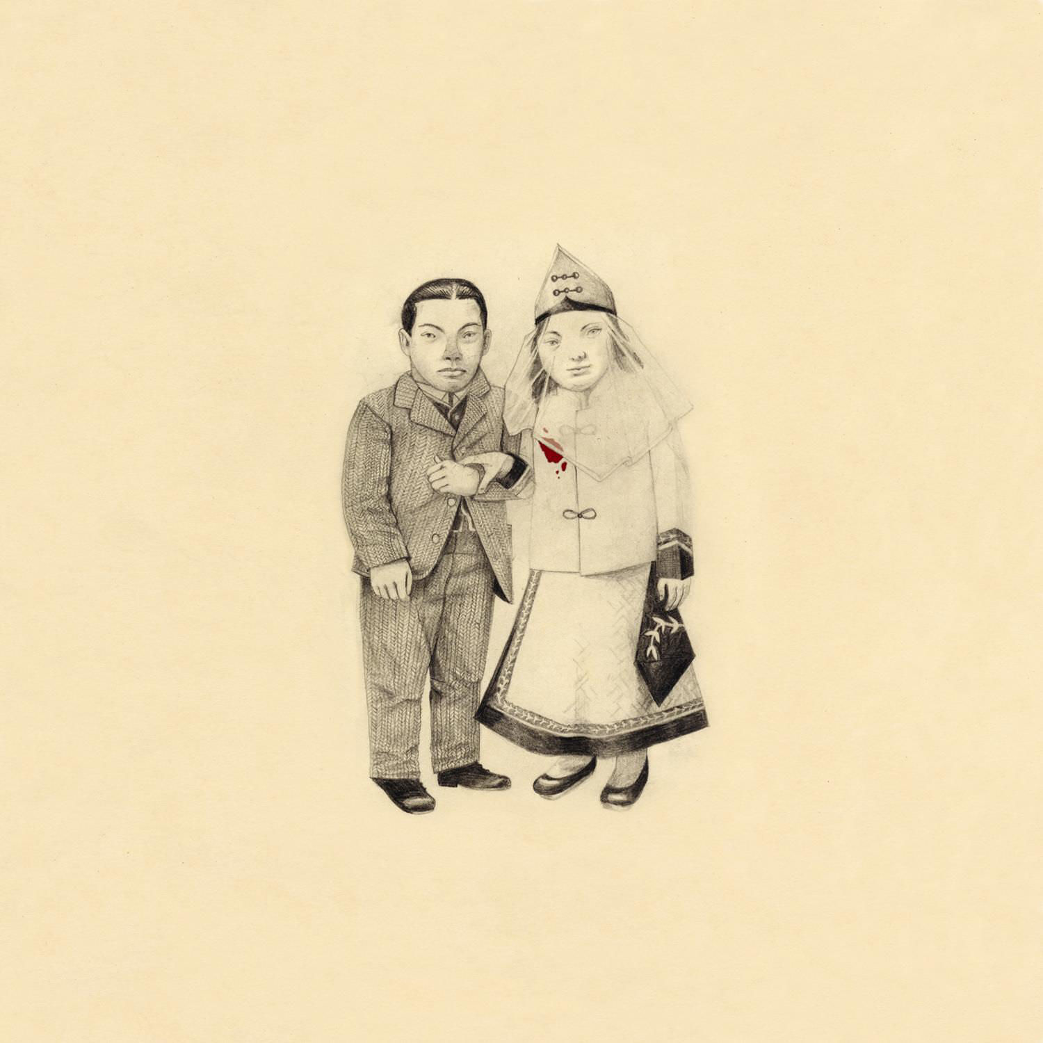 Cover: The Crane Wife