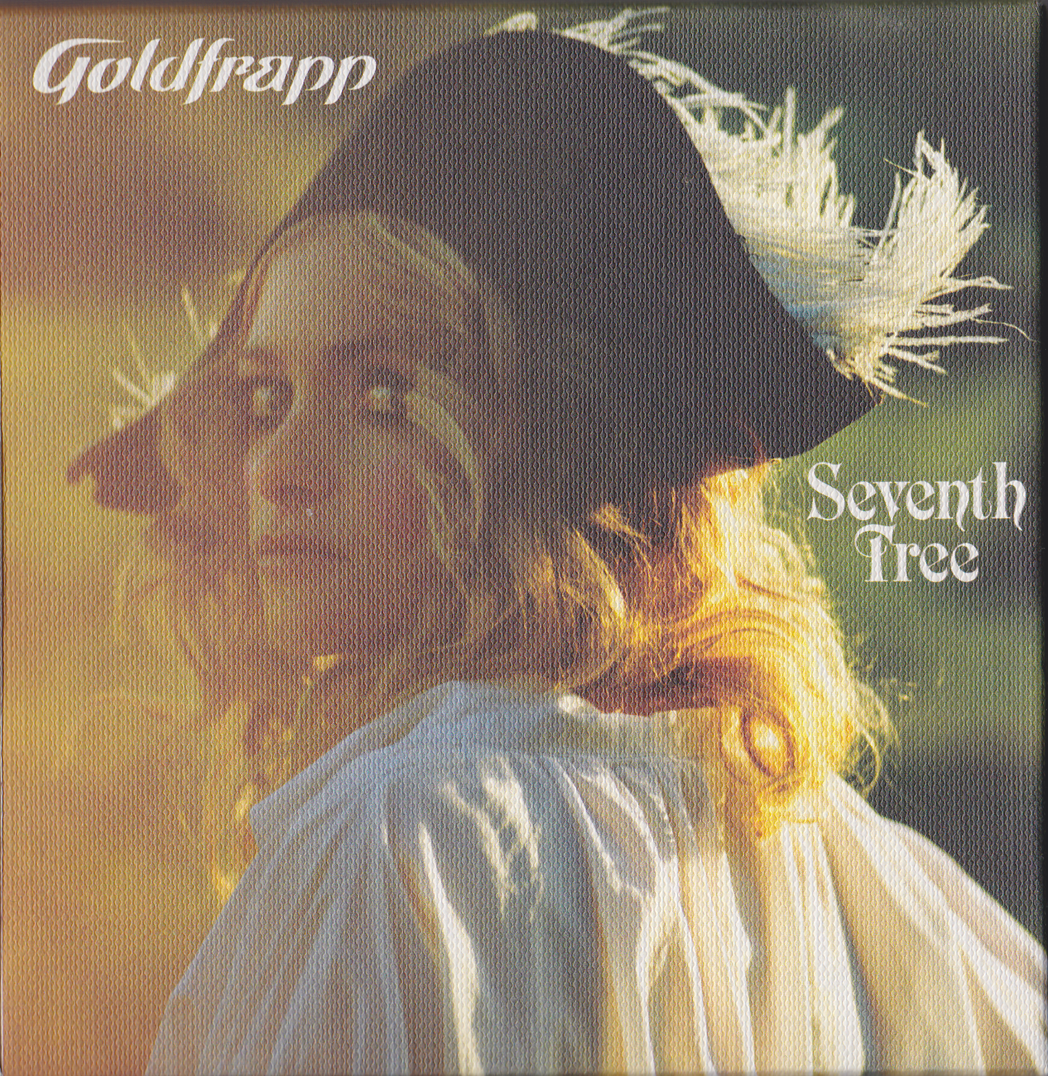 Cover: Seventh Tree
