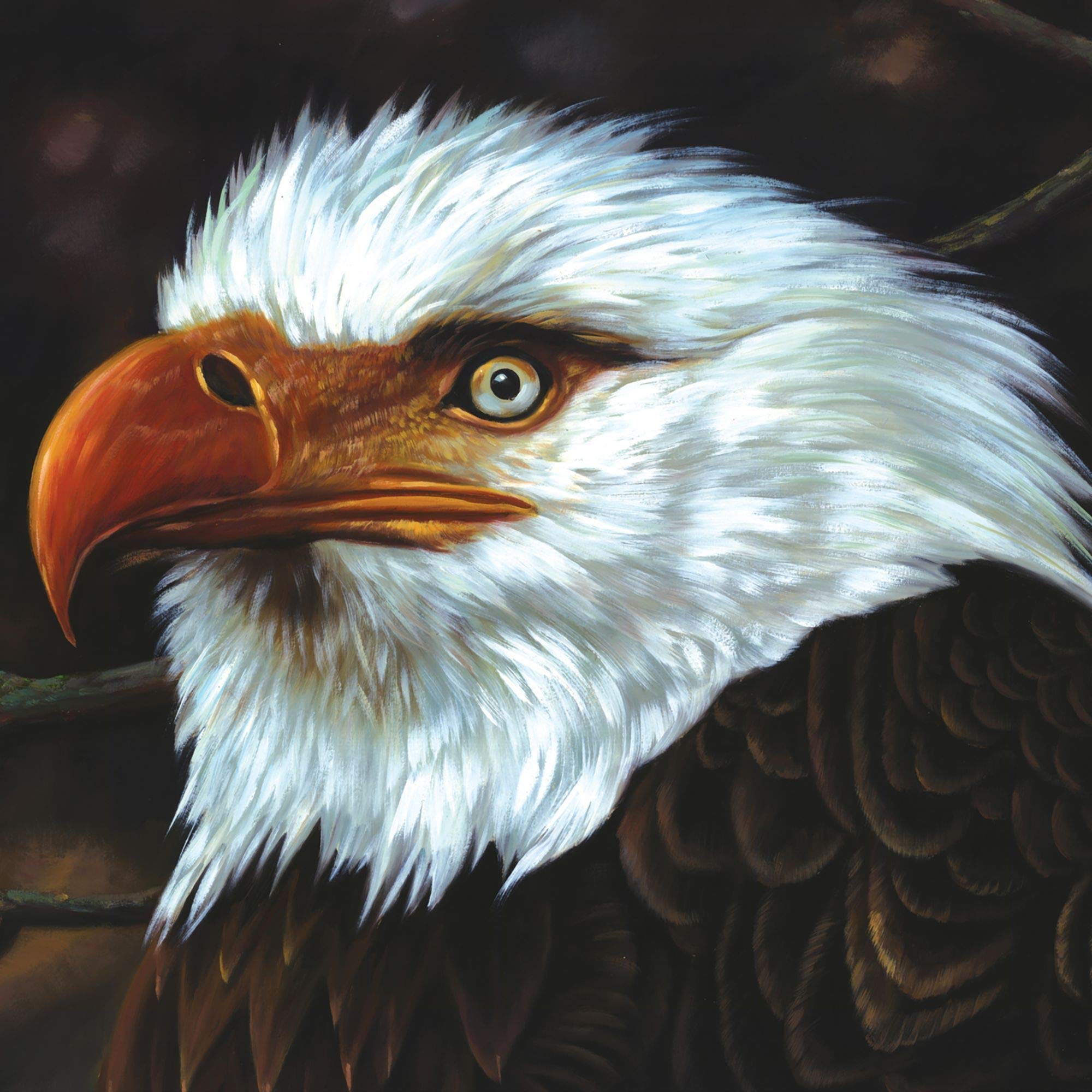 Cover: The Hawk Is Howling