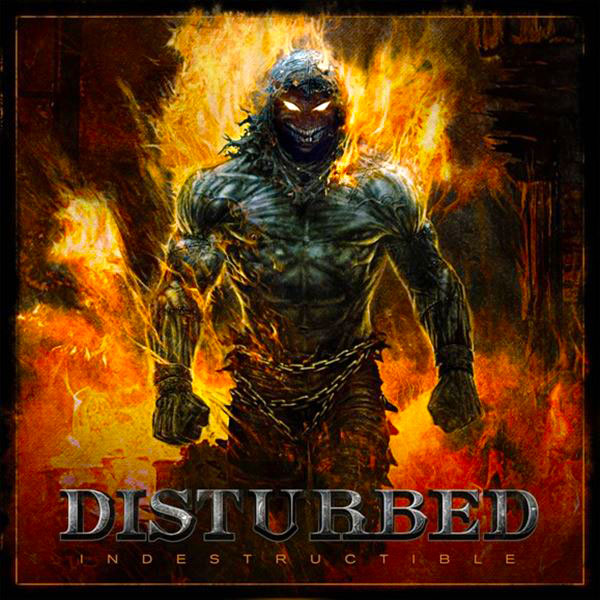 Cover: Indestructible