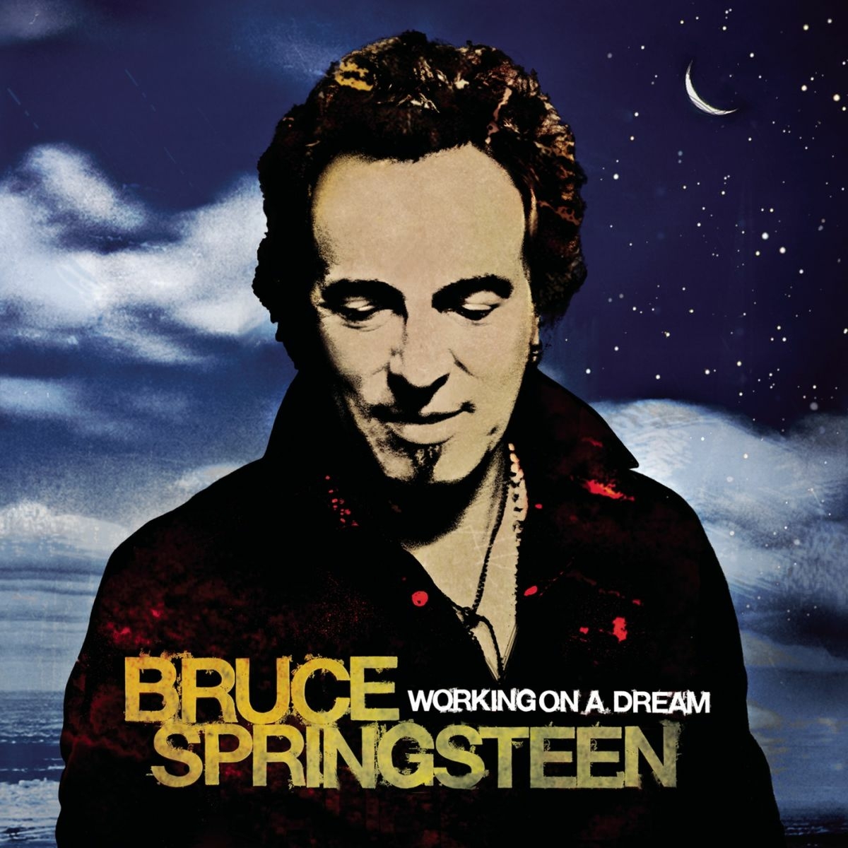 Cover: Working On A Dream