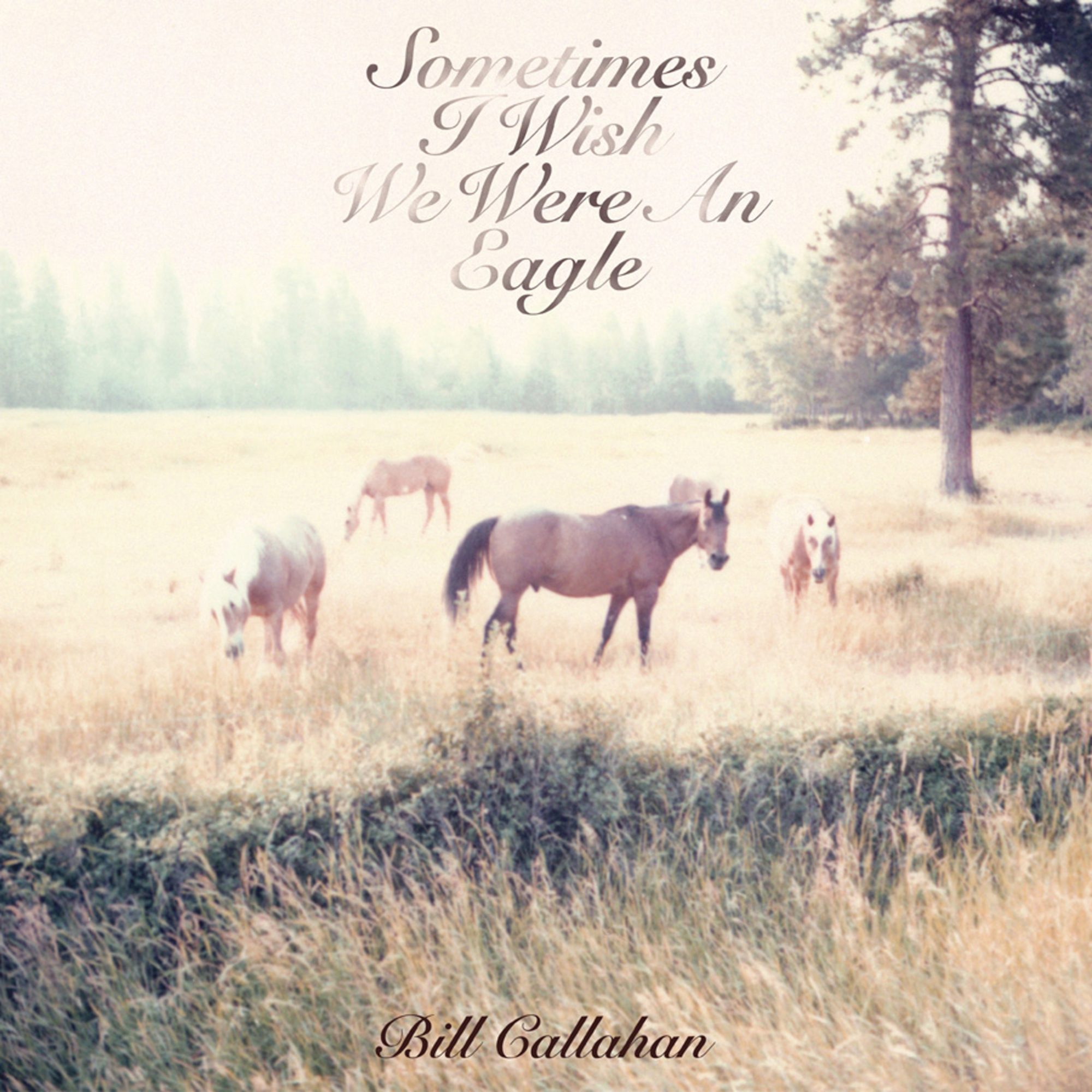 Cover: Sometimes I Wish We Were An Eagle