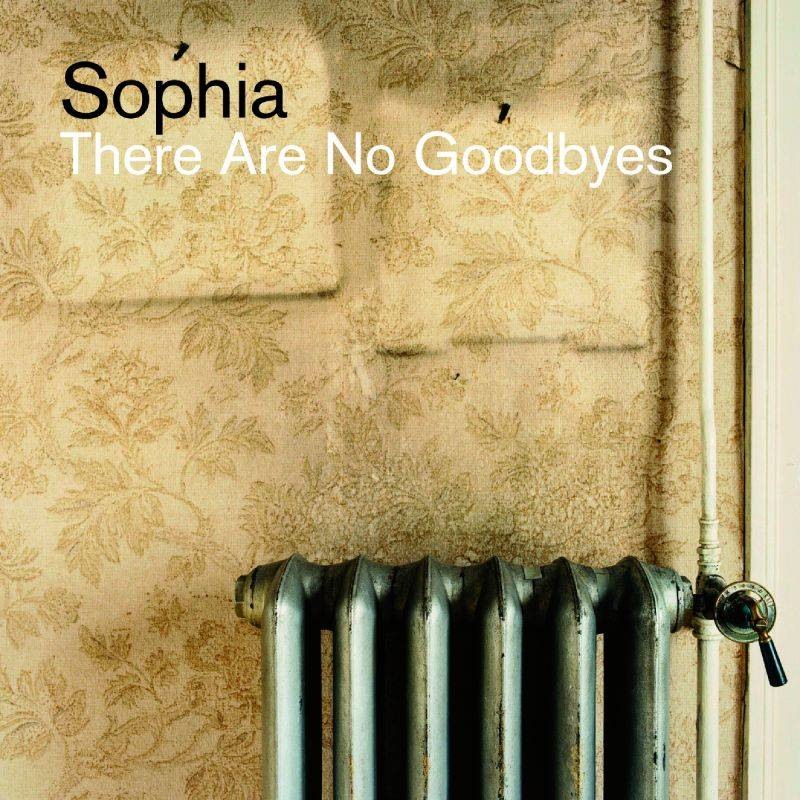 Cover: There Are No Goodbyes