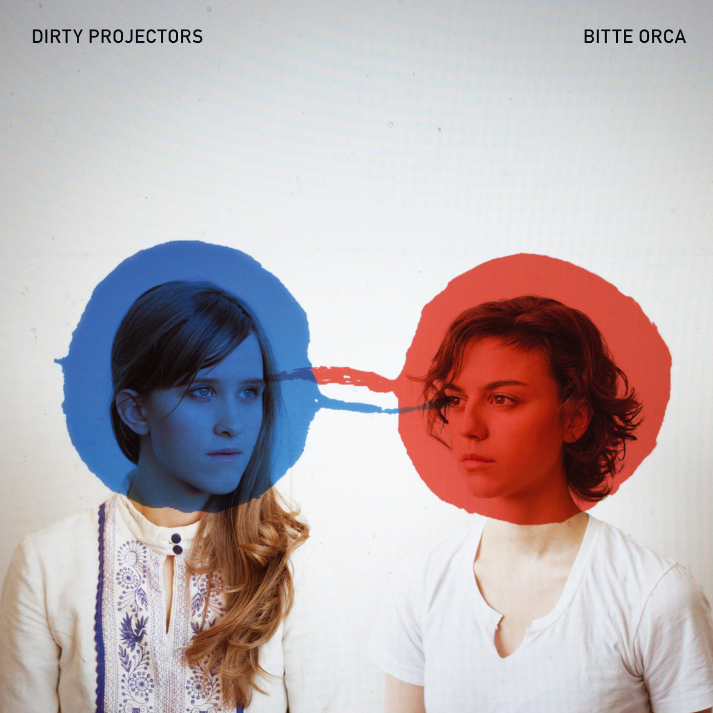 Cover: Bitte Orca