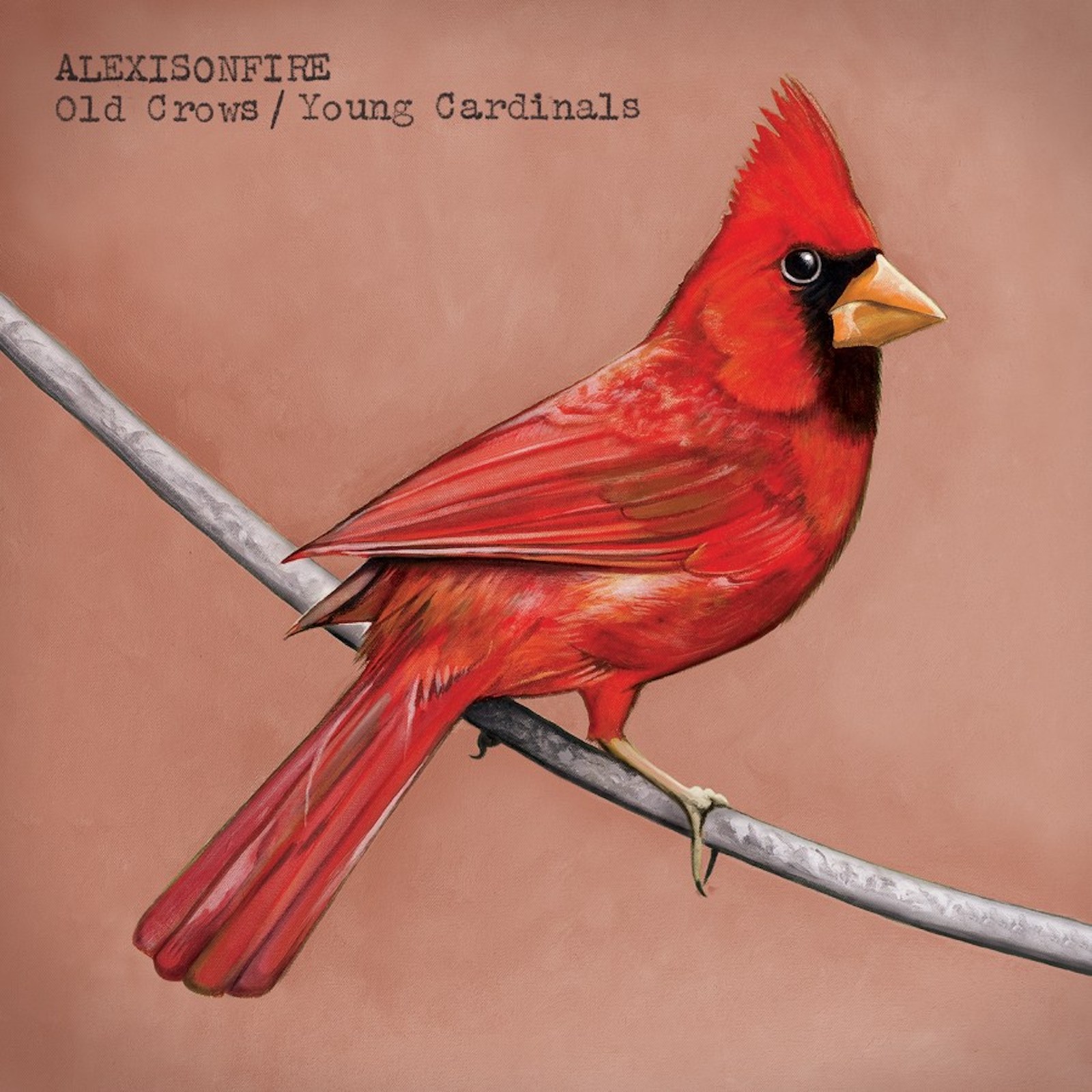 Cover: Old Crows/Young Cardinals
