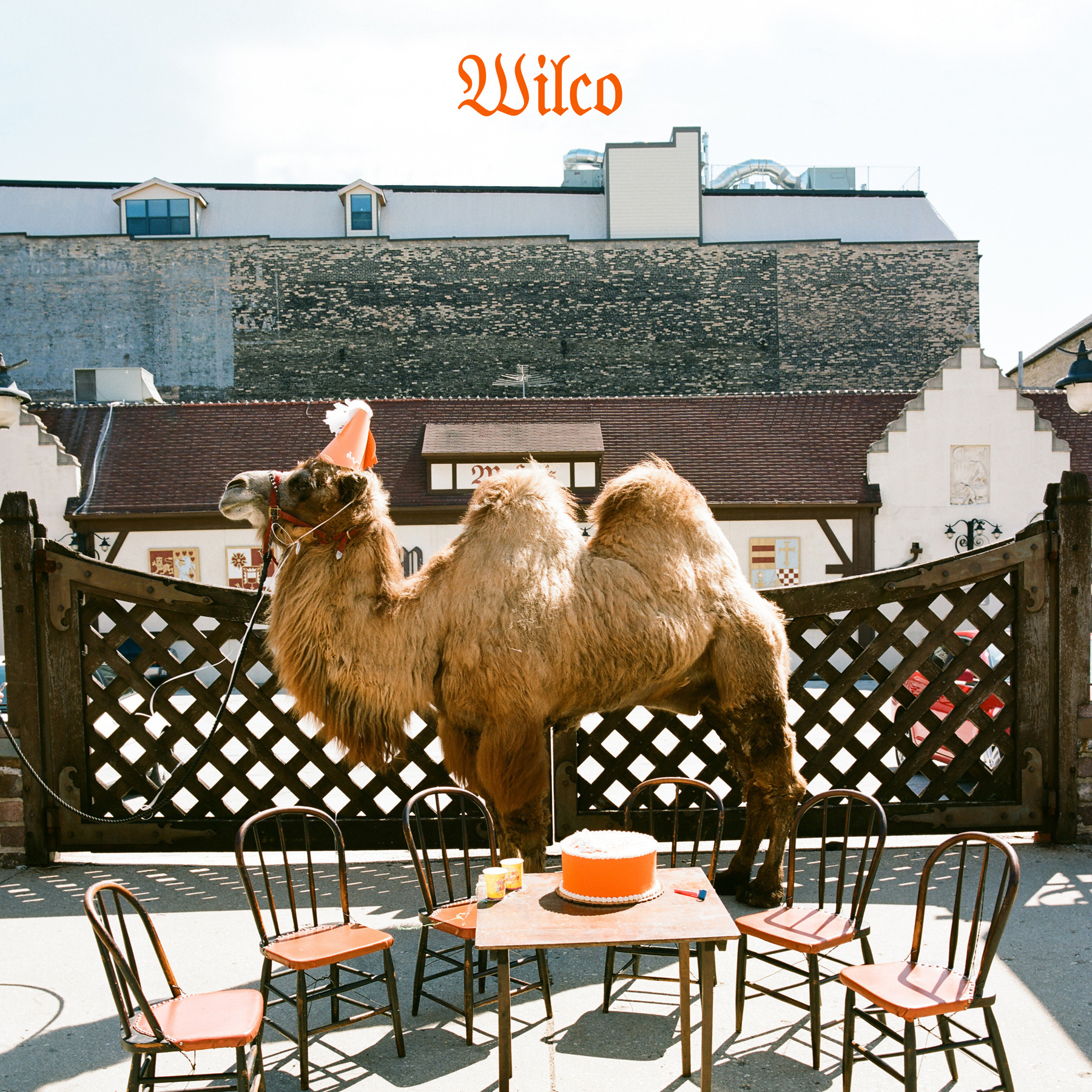 Cover: Wilco (the Album)