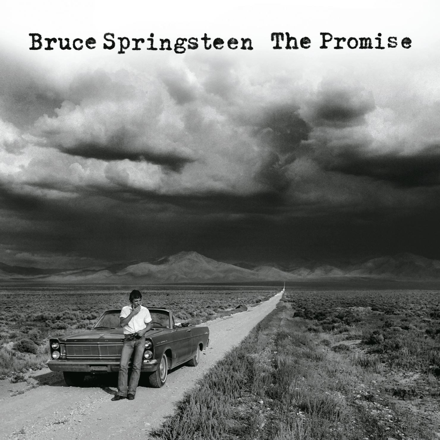 Cover: The Promise