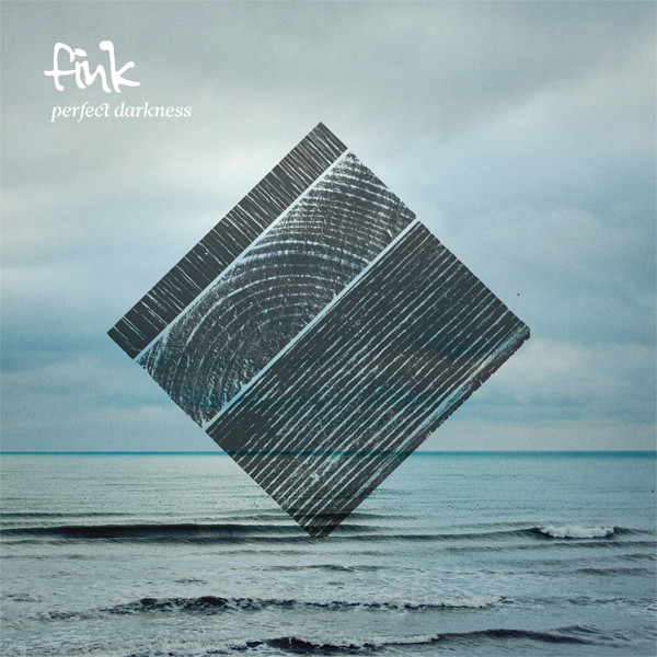 Cover: Perfect Darkness