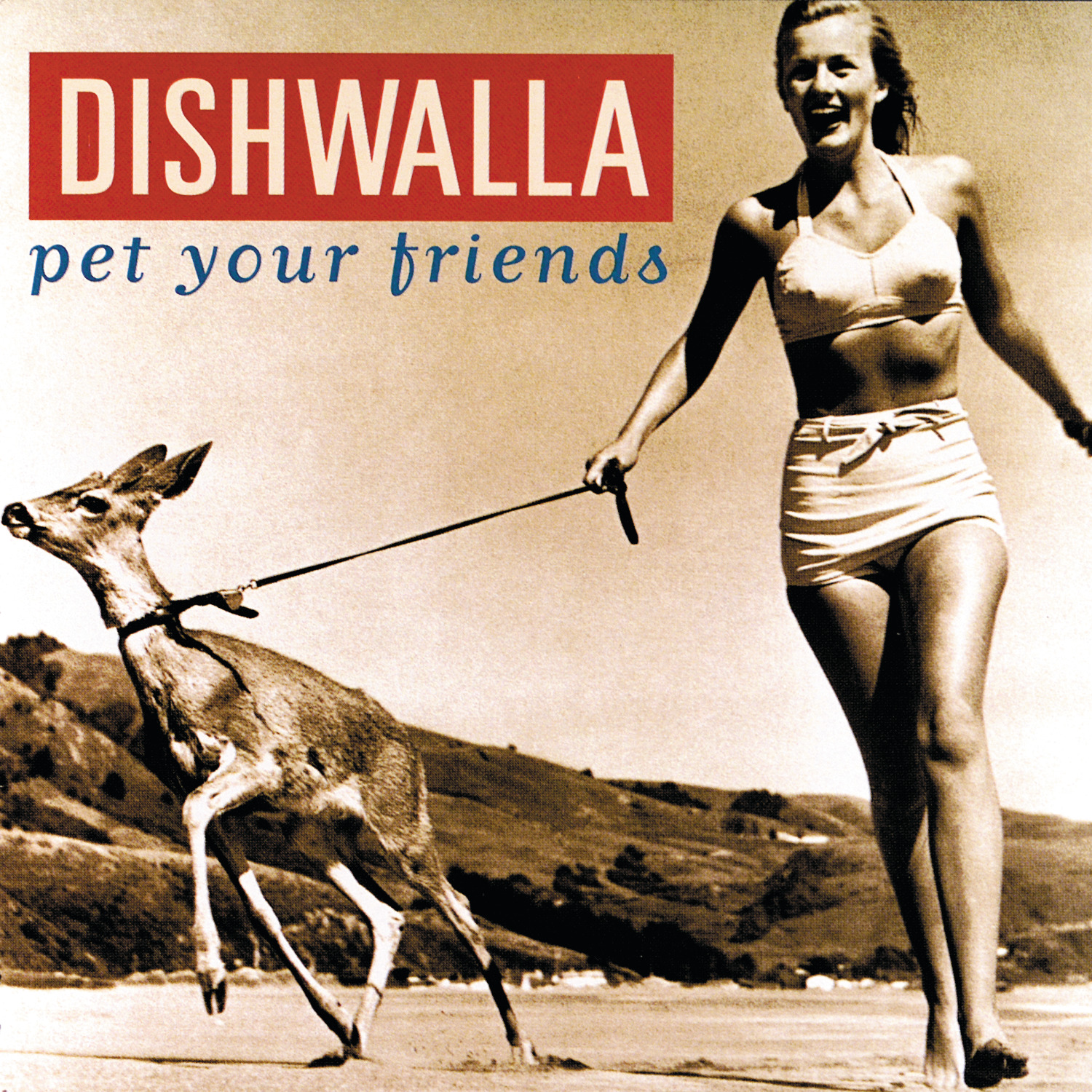Cover: Pet Your Friends