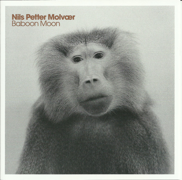Cover: Baboon Moon