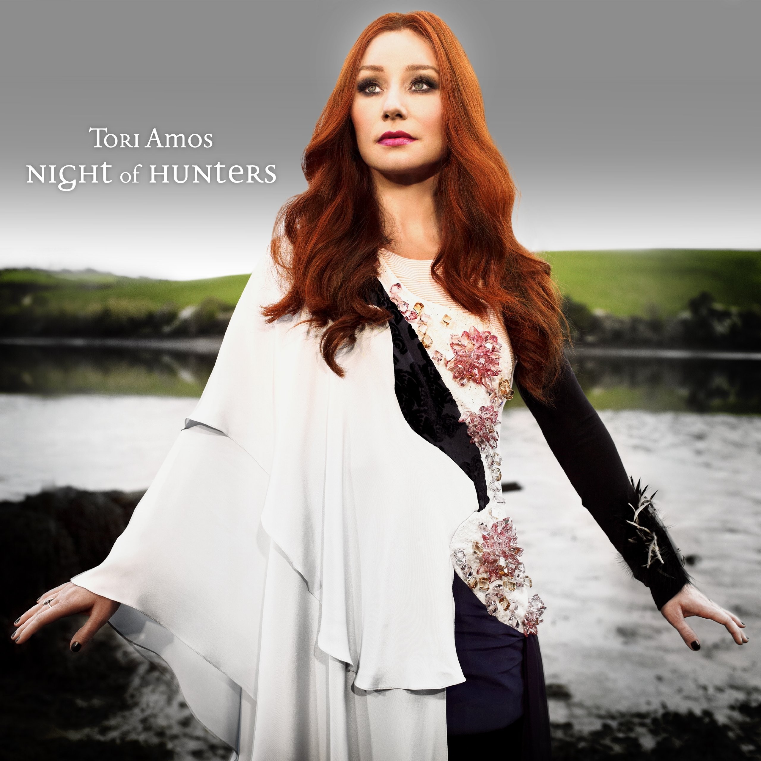 Cover: Night Of Hunters