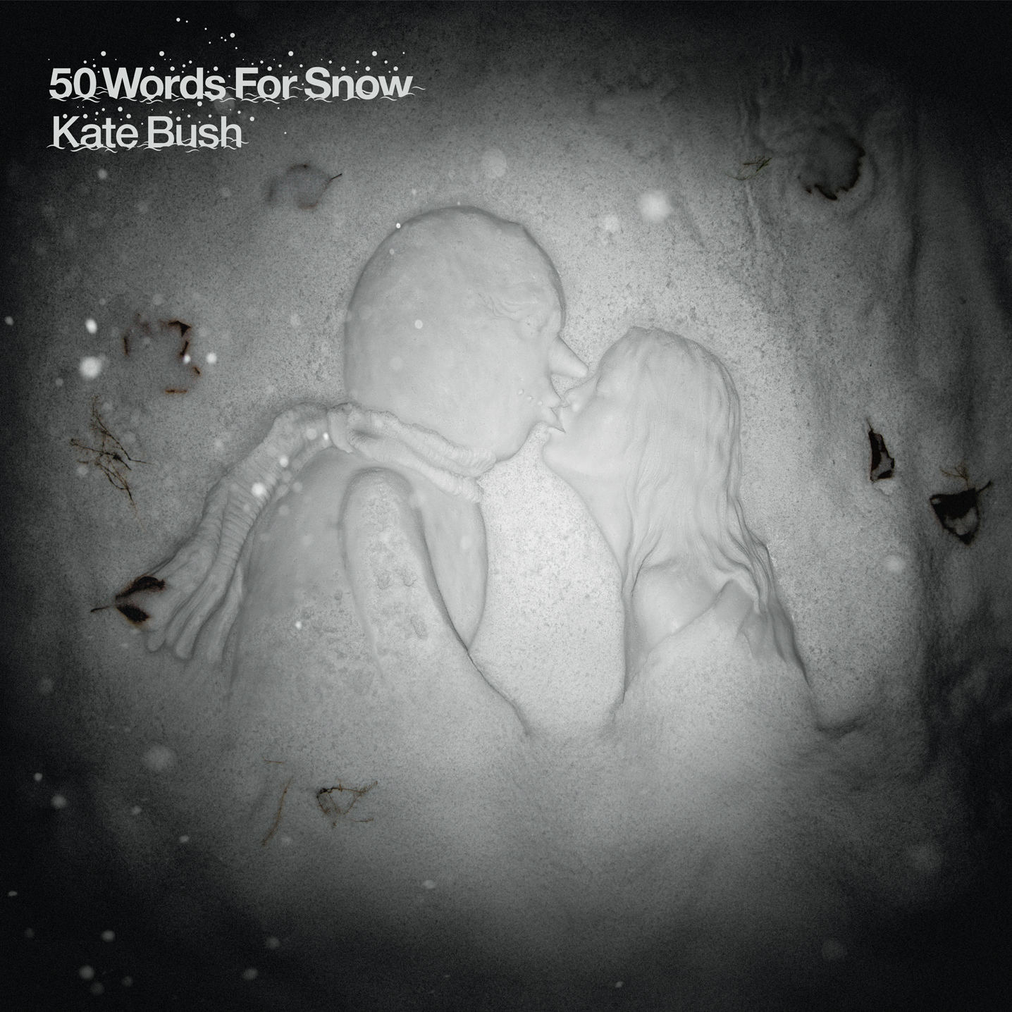 Cover: 50 Words For Snow
