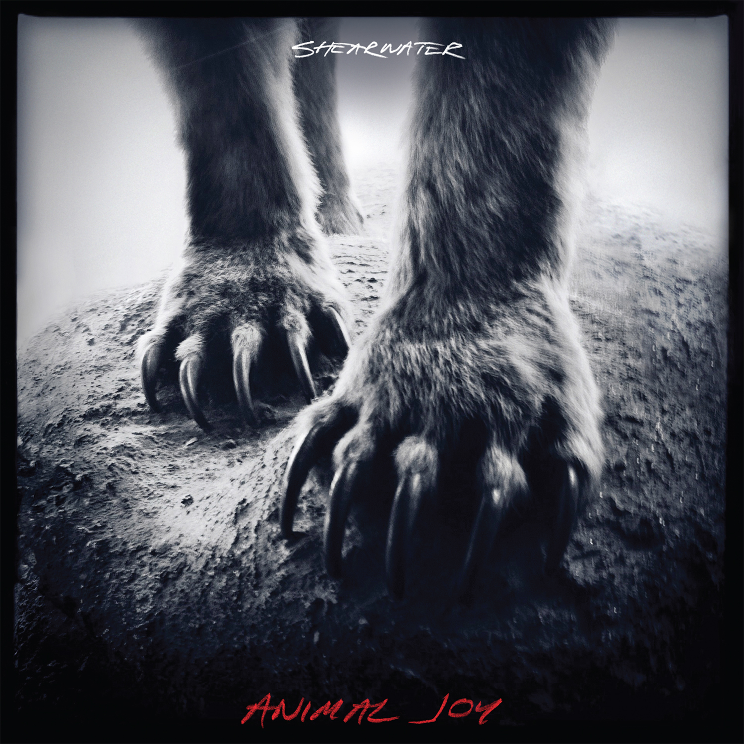 Cover: Animal Joy