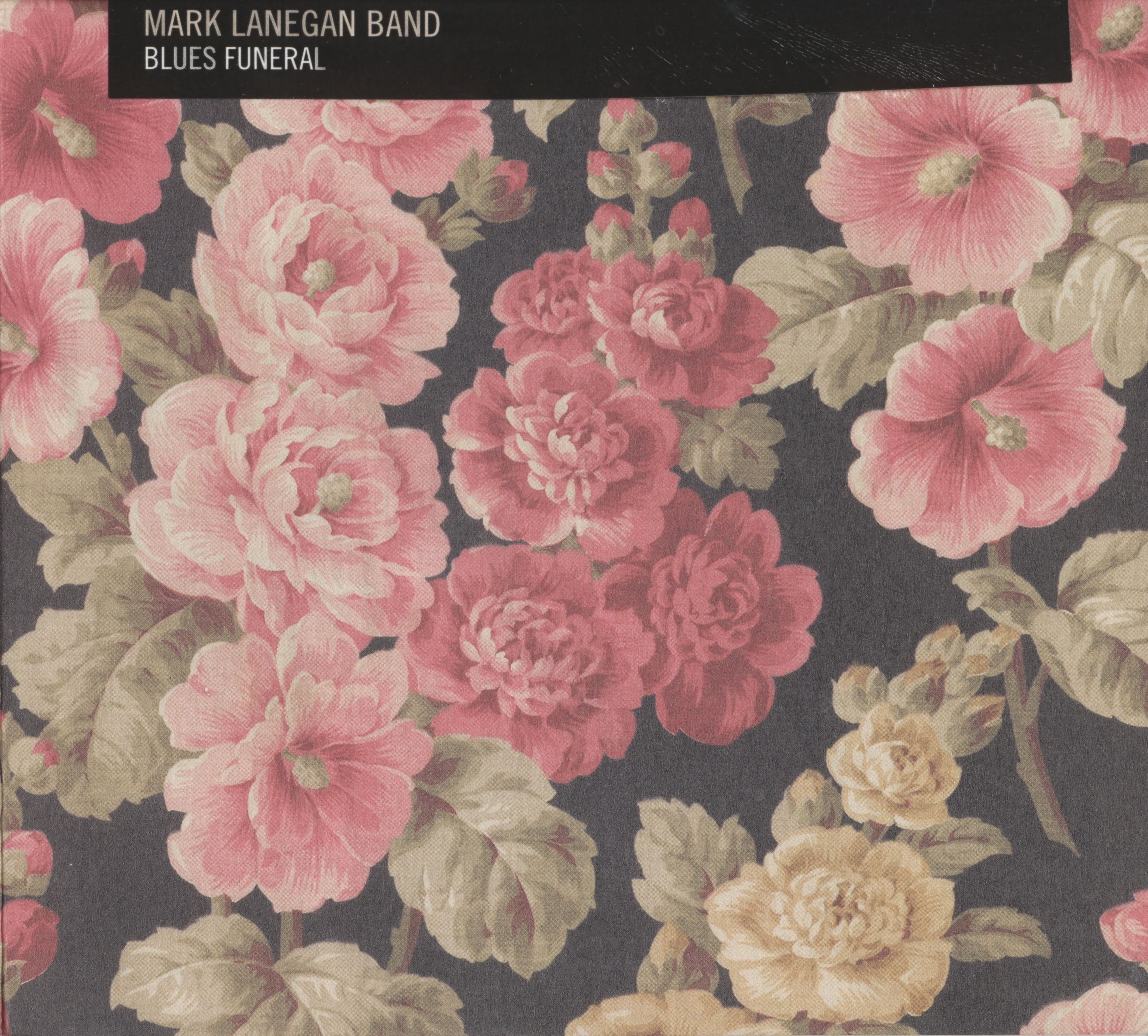 Cover: Blues Funeral