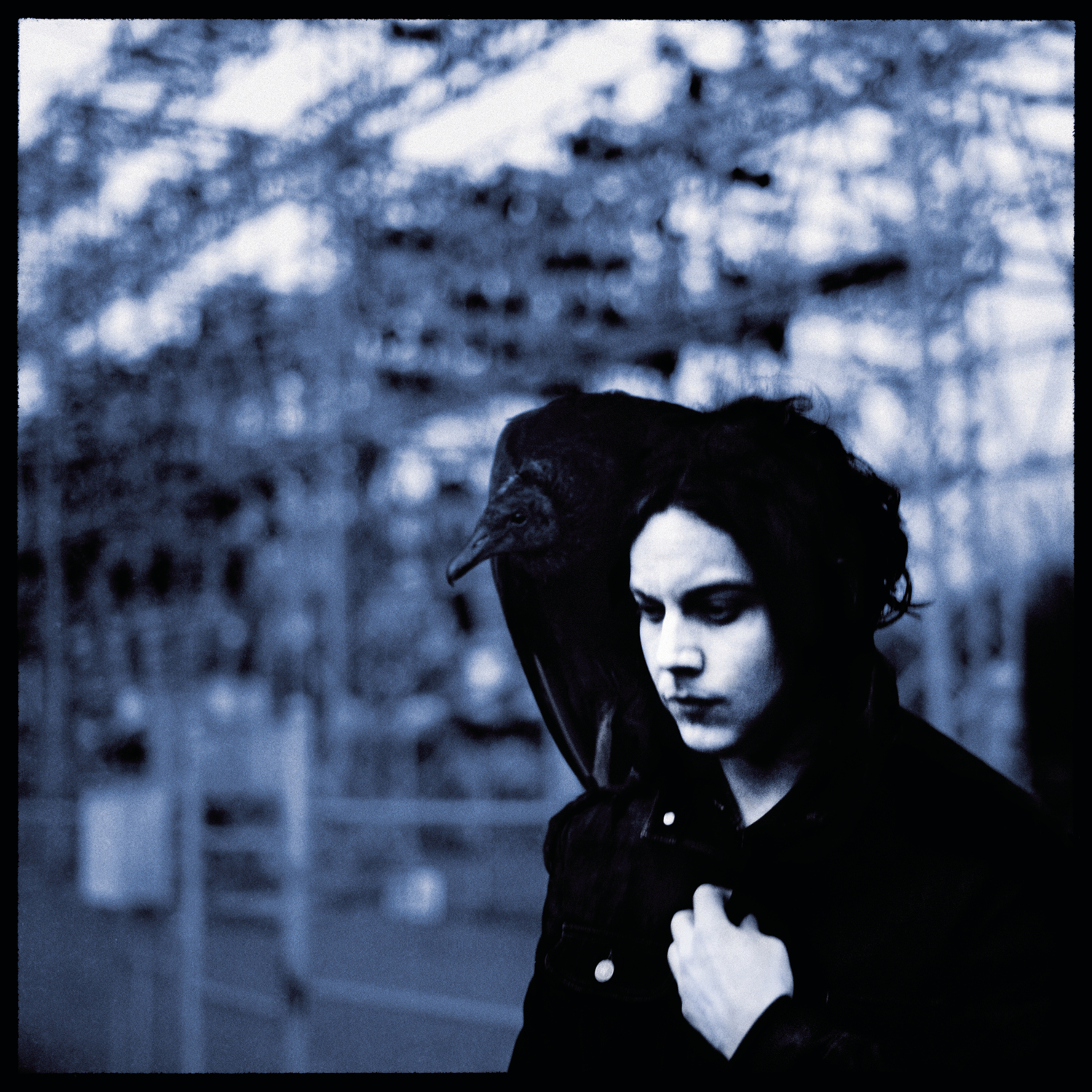 Cover: Blunderbuss