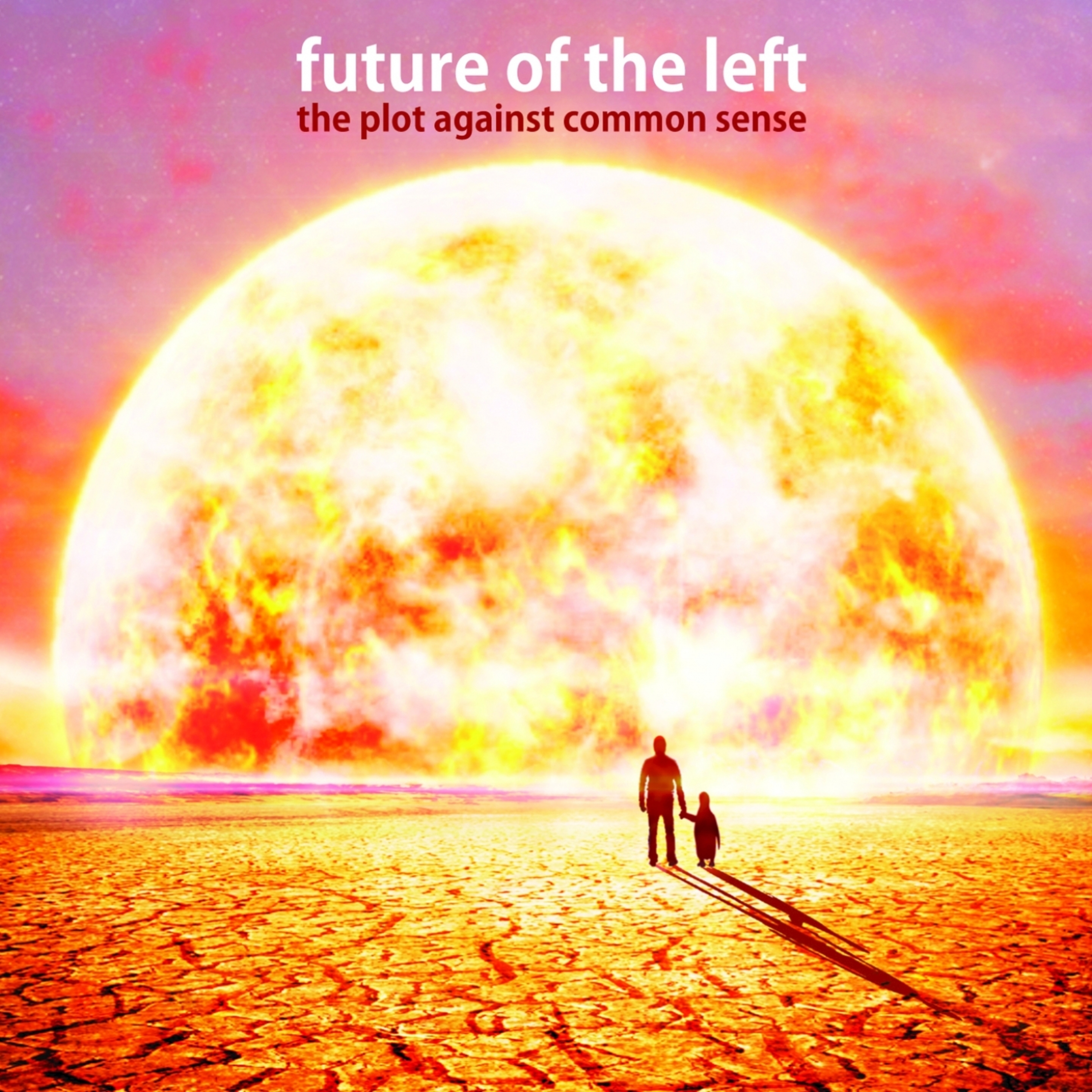 Cover: The Plot Against Common Sense