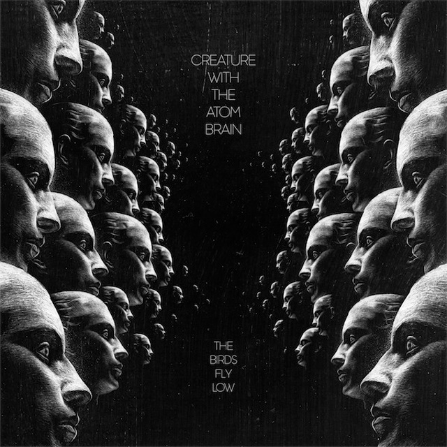 Cover: The Birds Fly Low