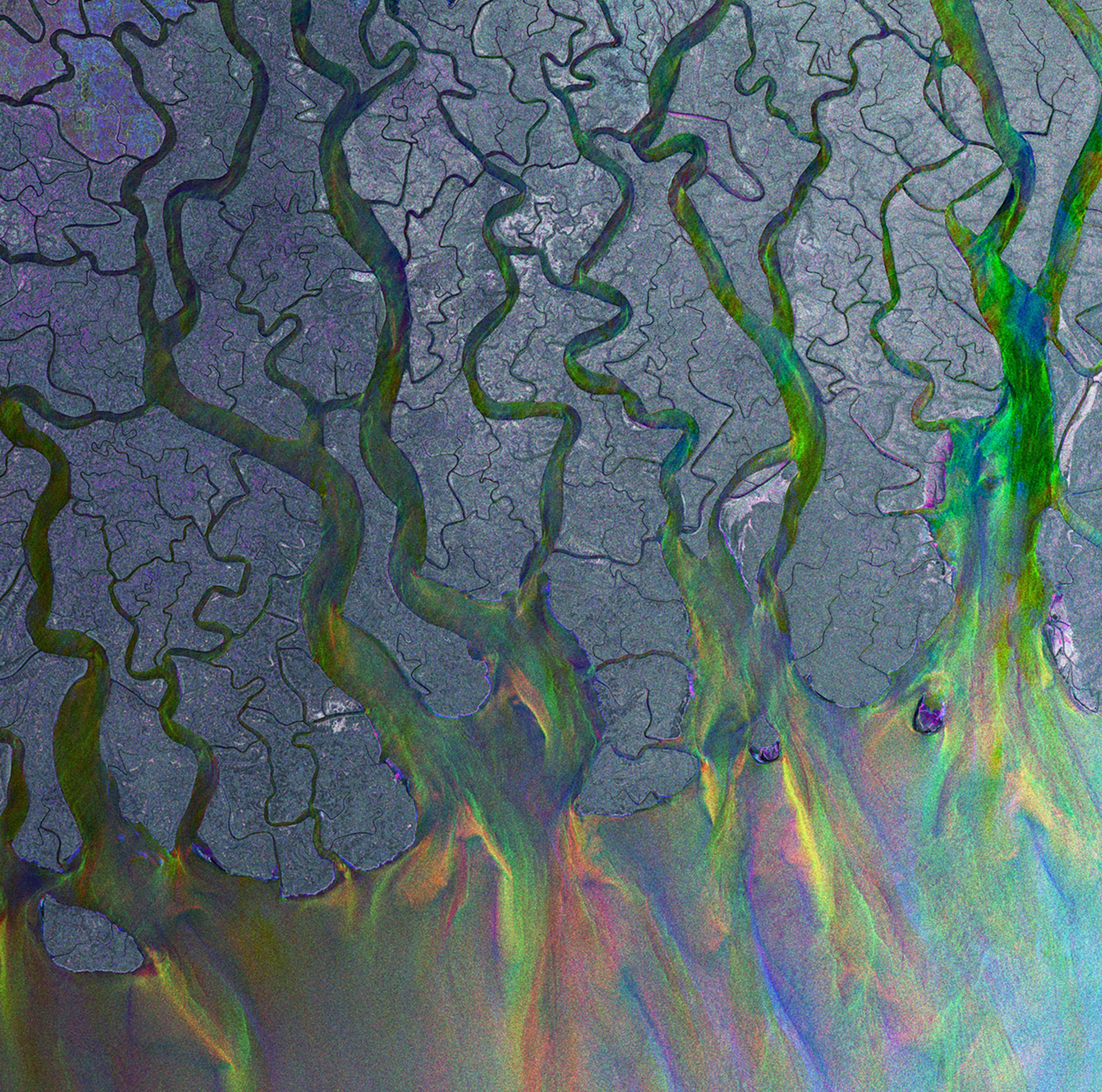 Cover: An Awesome Wave