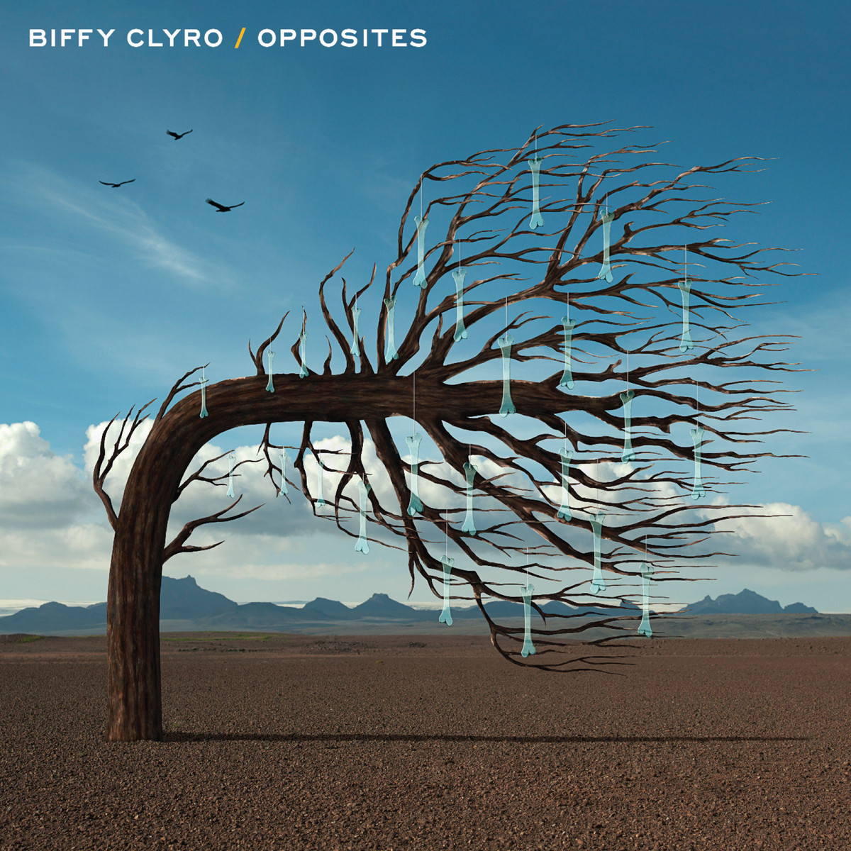 Cover: Opposites