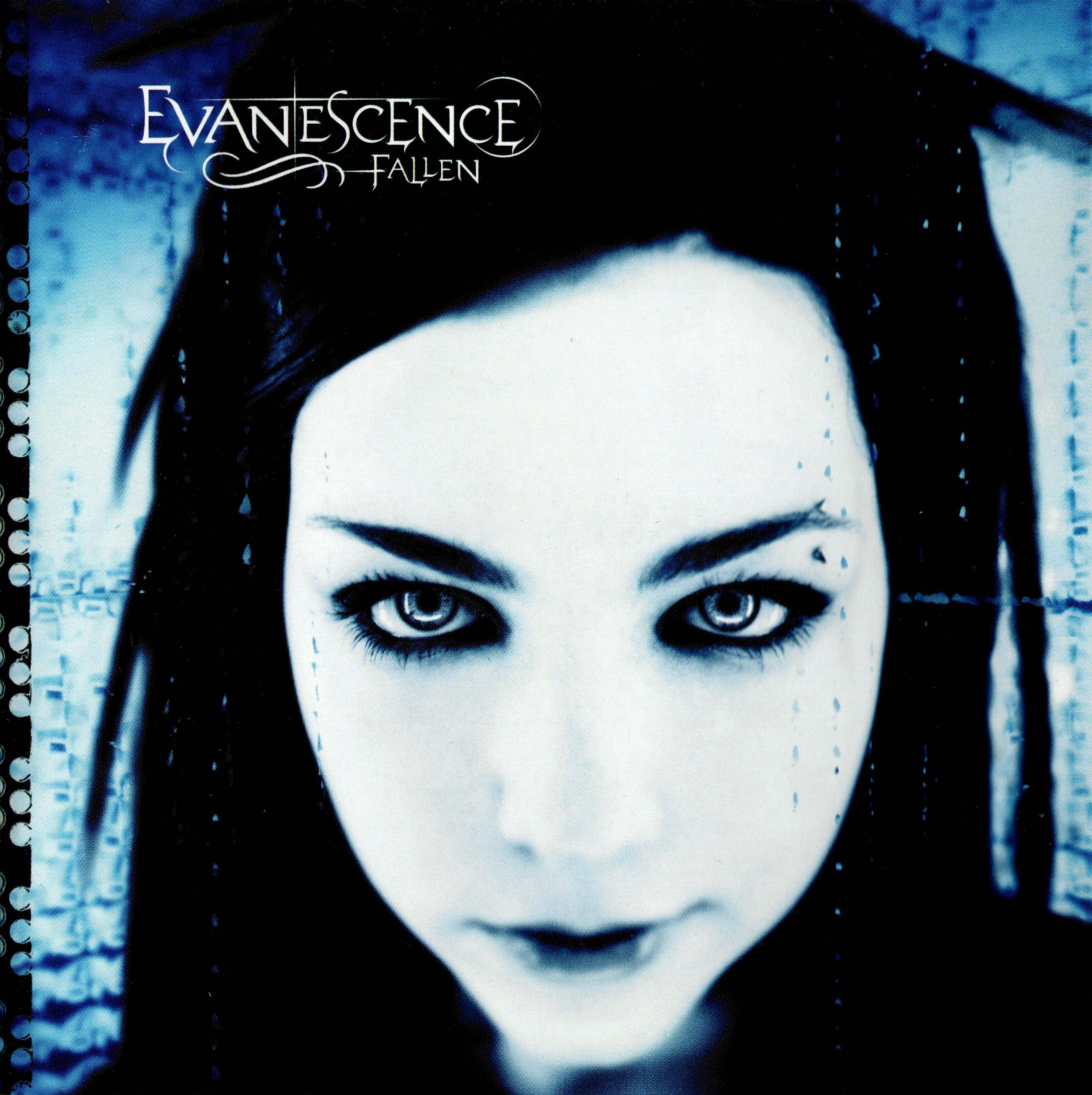 Cover: Fallen