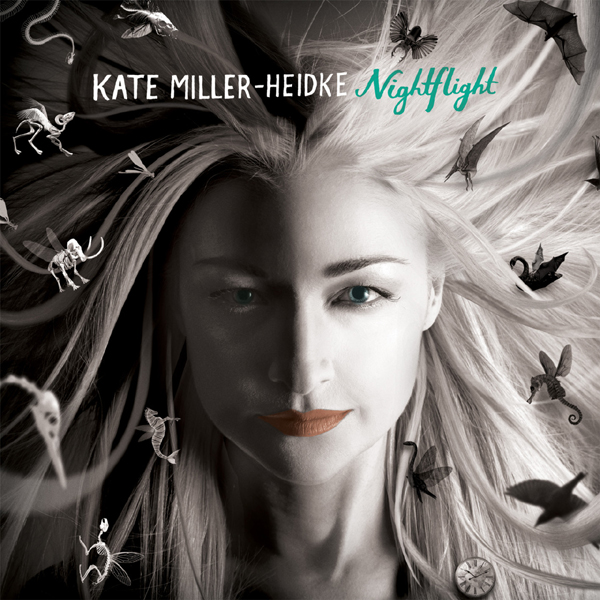Cover: Nightflight