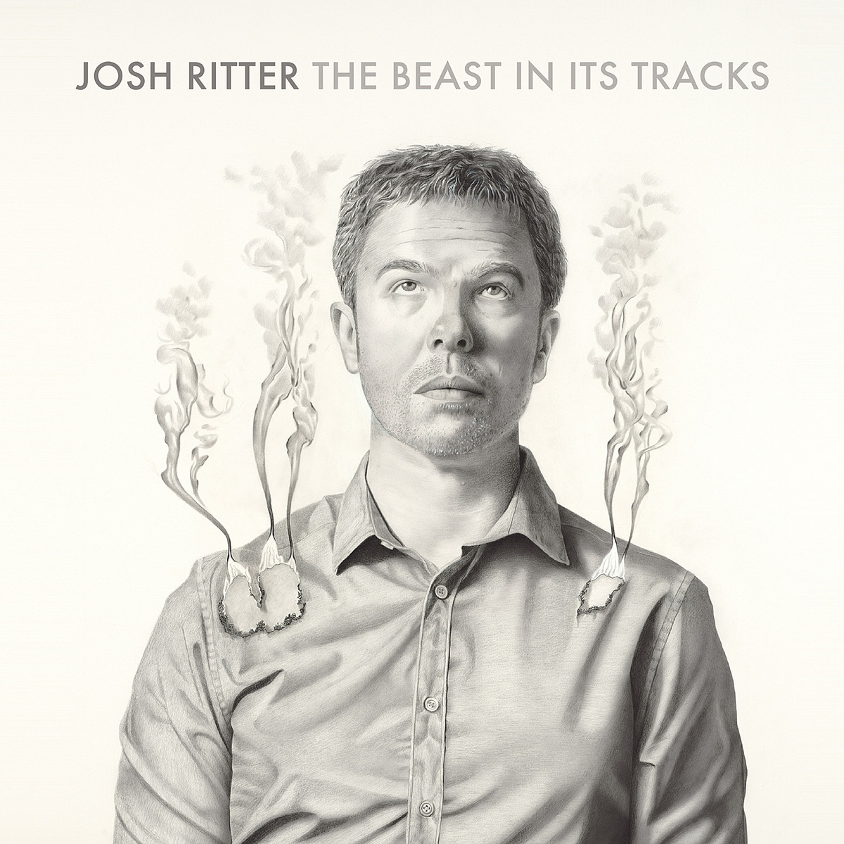 Cover: The Beasts In Its Tracks