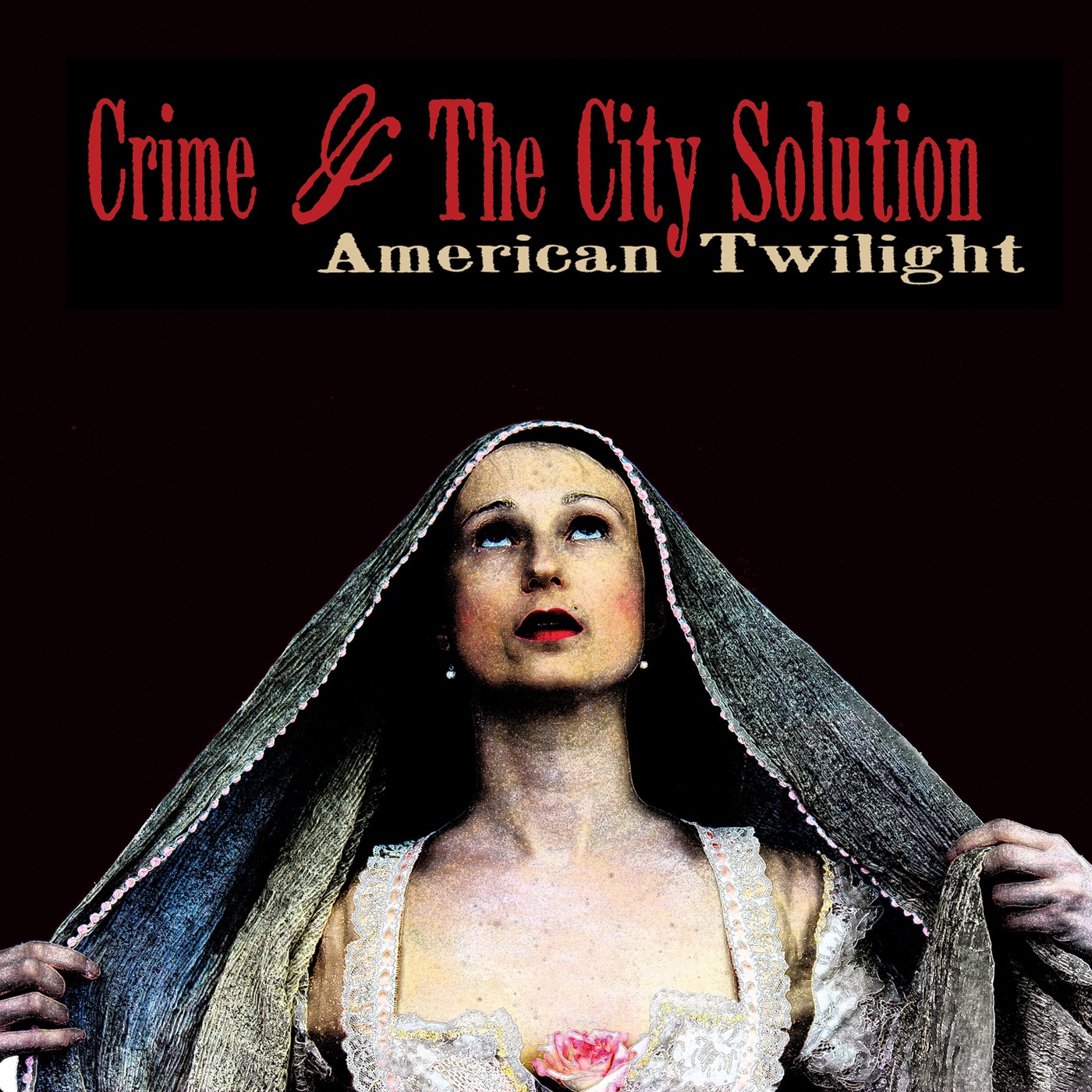 Cover: American Twilight