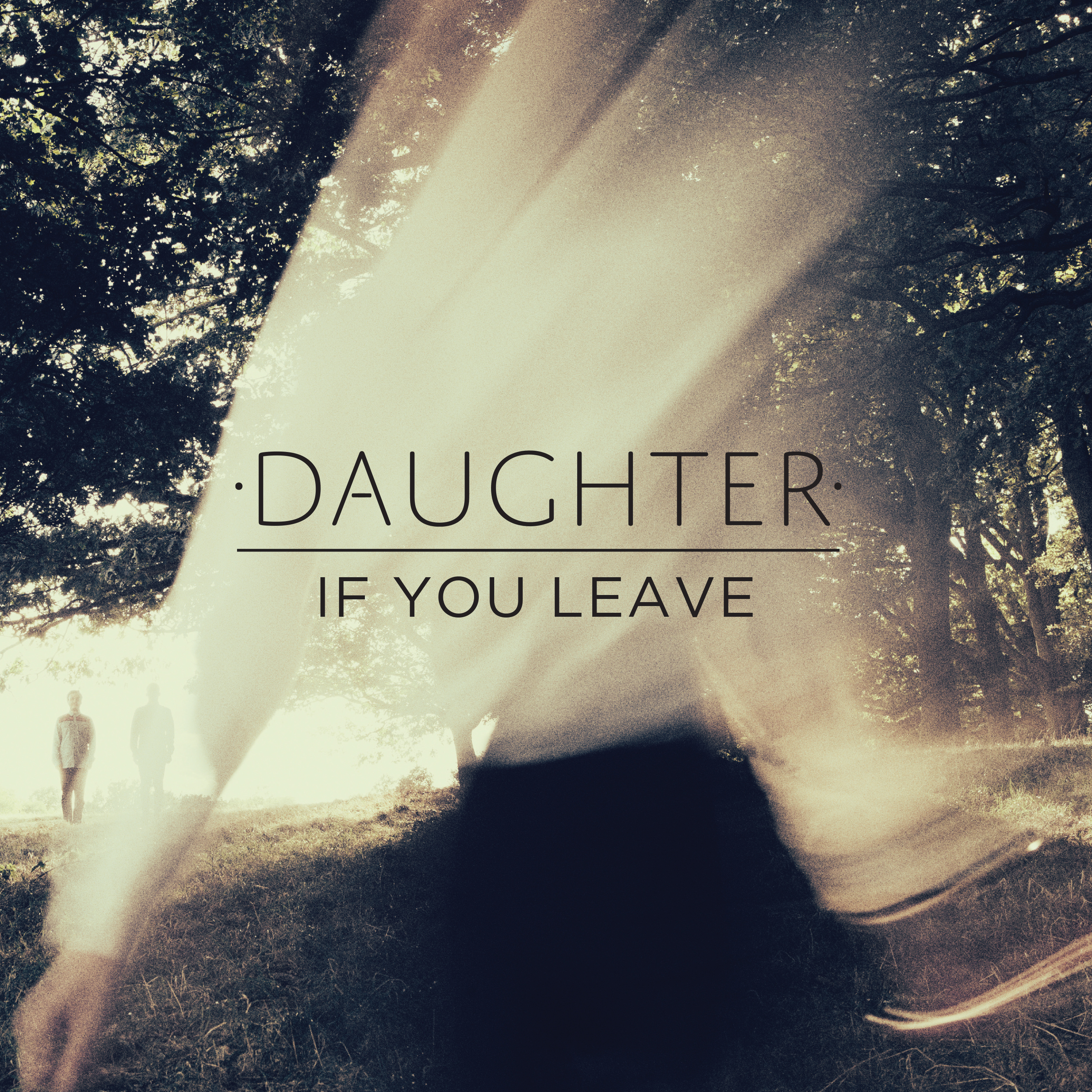 Cover: If You Leave